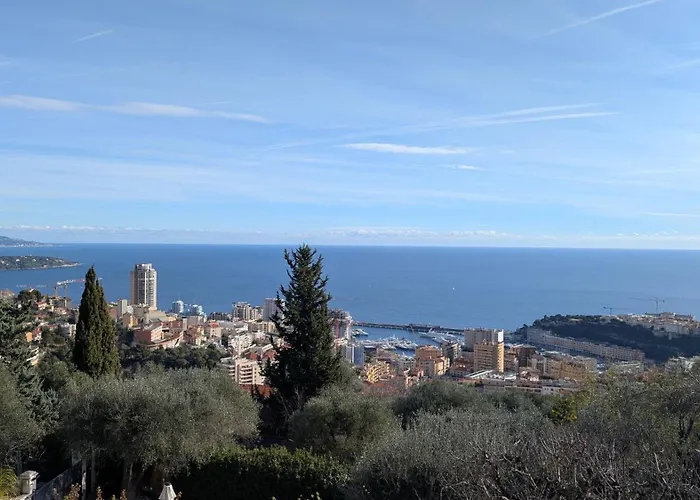 D'angeline - Vue Jardin Commun Parking Voiture Obligatoire 10min Voiture Monaco Route étroite Pente Raide Croisement Limité Photos - Sea View Shared Garden Parking Car Mandatory 10min Car Monaco Narrow Steep Road Limited Passing P Apartamento *