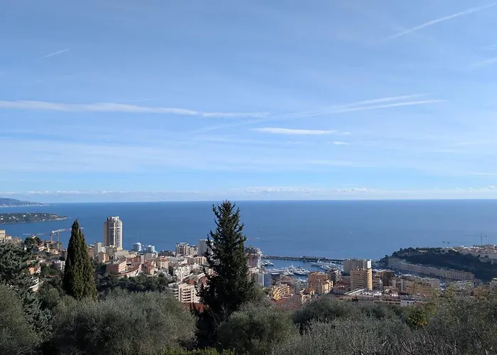 D'angeline - Vue Jardin Commun Parking Voiture Obligatoire 10min Voiture Monaco Route étroite Pente Raide Croisement Limité Photos - Sea View Shared Garden Parking Car Mandatory 10min Car Monaco Narrow Steep Road Limited Passing P