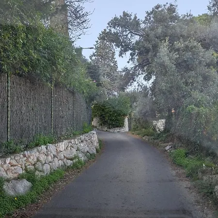 D'angeline, Vue Mer, Jardin Commun, Parking, Voiture Requise, 10 Min En Voiture De Monaco, Route Etroite, Pente Raide, Croisement Limite, Sea View, Shared Garden, Parking, Car Required, 10 Min Drive From Monaco, Narrow Steep Road, Limited Pass