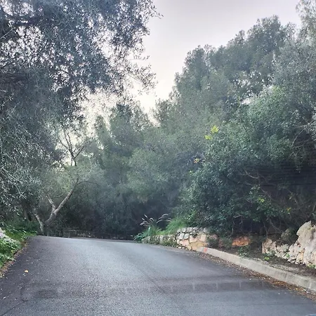 D'angeline, Vue Mer, Jardin Commun, Parking, Voiture Requise, 10 Min En Voiture De Monaco, Route Etroite, Pente Raide, Croisement Limite, Sea View, Shared Garden, Parking, Car Required, 10 Min Drive From Monaco, Narrow Steep Road, Limited Pass Apartment *
