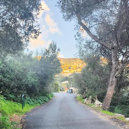 Apartment D'angeline, Vue Mer, Jardin Commun, Parking, Voiture Requise, 10 Min En Voiture De Monaco, Route Etroite, Pente Raide, Croisement Limite, Sea View, Shared Garden, Parking, Car Required, 10 Min Drive From Monaco, Narrow Steep Road, Limited Pass Beausoleil