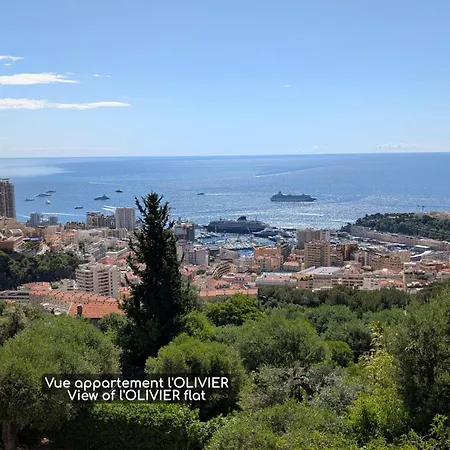 D'angeline, Vue Mer, Jardin Commun, Parking, Voiture Requise, 10 Min En Voiture De Monaco, Route Etroite, Pente Raide, Croisement Limite, Sea View, Shared Garden, Parking, Car Required, 10 Min Drive From Monaco, Narrow Steep Road, Limited Pass * Beausoleil
