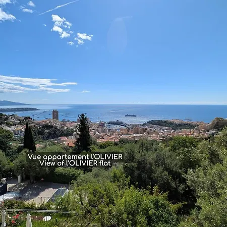 Apartment D'angeline-vue Panoramique, Jardin Partage, Parking, Voiture Indispensable, Route Etroite Et Pentue, A 10 Min De Monaco Beausoleil