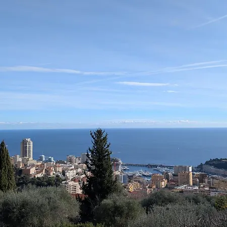D'angeline-vue Panoramique, Jardin Partage, Parking, Voiture Indispensable, Route Etroite Et Pentue, A 10 Min De Monaco